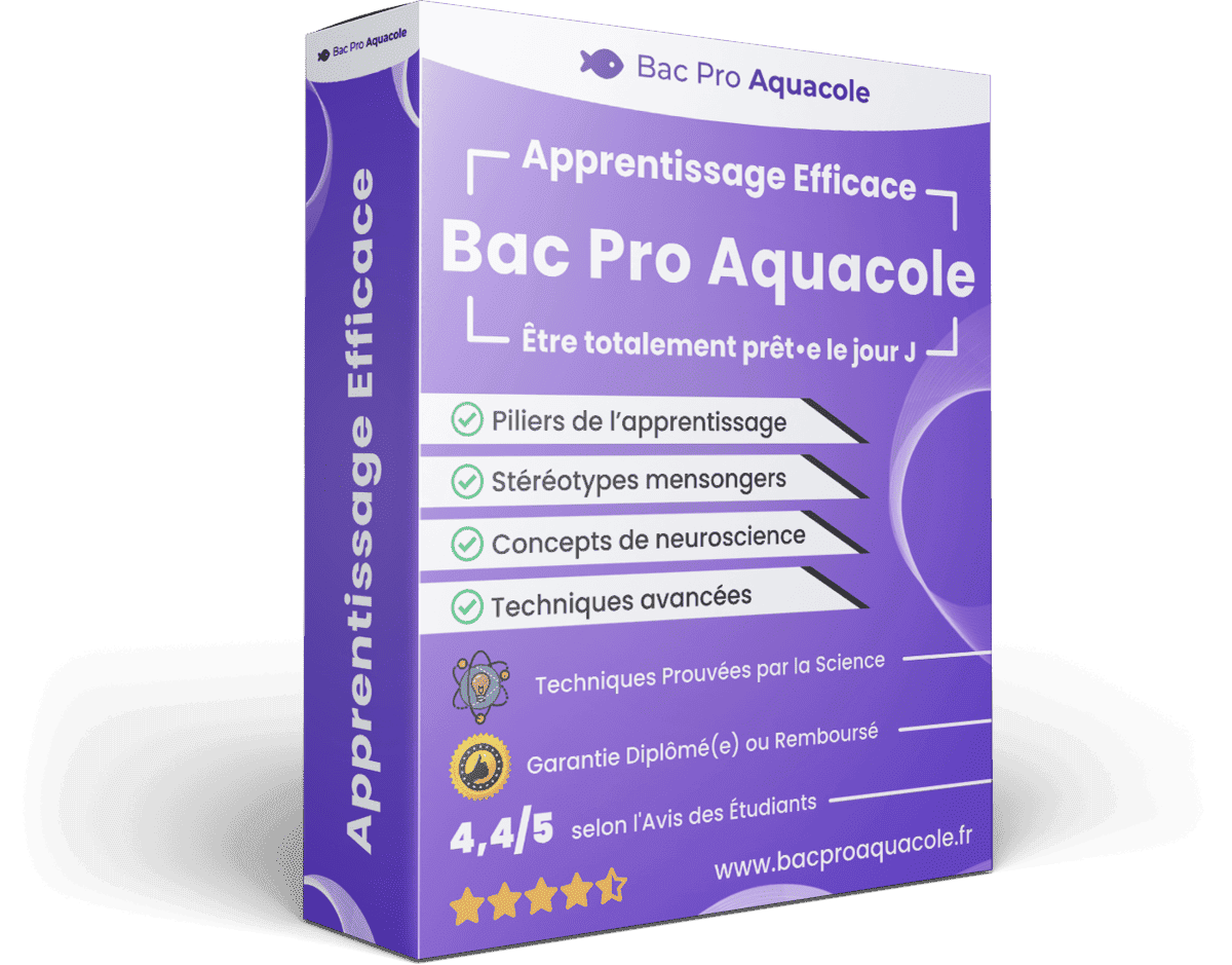 Image produit apprentissage-efficace